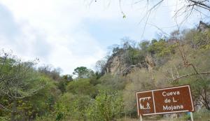 Cueva Mojana